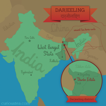 Map of Thurbo tea estate, Darjeeling