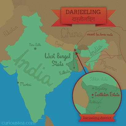 Map of Castleton Tea Estate, Darjeeling