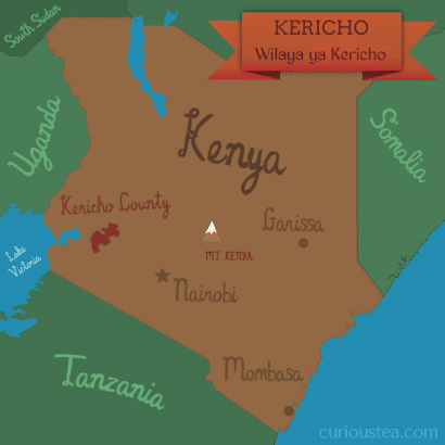 Kericho county, Kenya