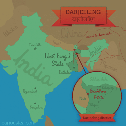 Gopaldhara Tea Estate Map, Darjeeling