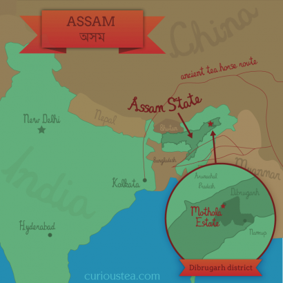 Mothola Tea Estate, Dibrugarh, Assam