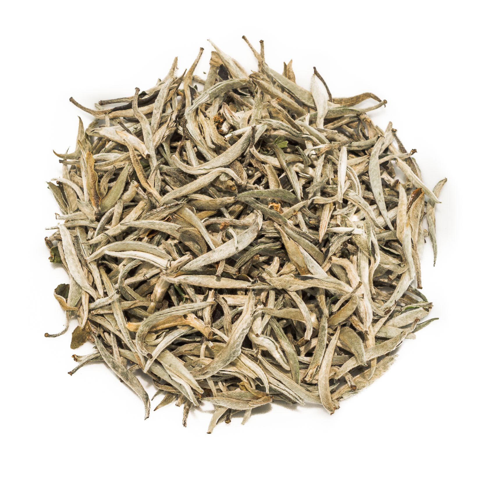 Yin Zhen Yunnan Silver Needle White Tea Curious Tea