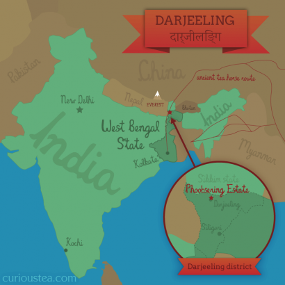 Darjeeling Phoobsering tea estate