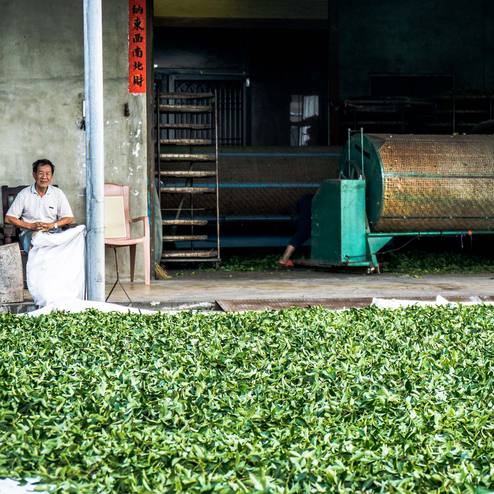 Taiwan Tea