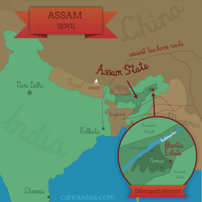 Bhartia tea estate, Dibrugarh district, Assam state, India