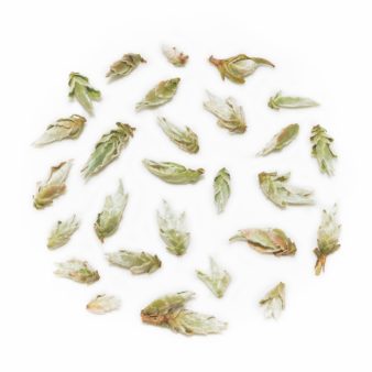 China Yunnan Ya Bao Silver Buds Sun Dried Wild Pu-erh White Tea