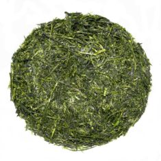 Japan Kagoshima Ariake Fukamushi Sencha Deep Steamed Green Tea