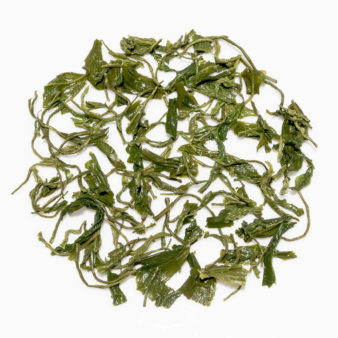 China Shandong Laoshan Green Tea