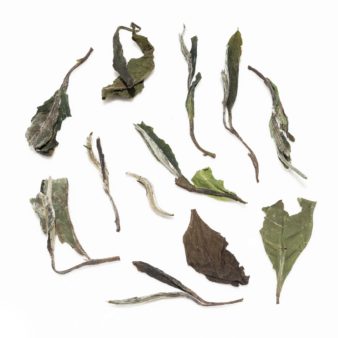 China Fuding Fujian Bai Mu Dan White Peony King White Tea