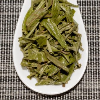 China Fujian Fuding Xue Ya Snow Bud White Tea