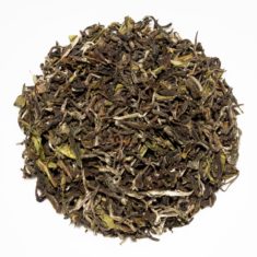 India Darjeeling Rohini First Flush Spring Regalia Black Tea