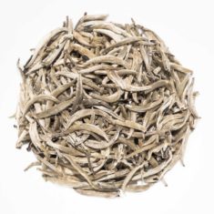 China Yunnan Camellia Taliensis Yin Zhen Yunnan Silver Needle