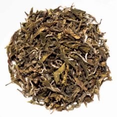 India Darjeeling Gopaldhara Classic First Flush 2018