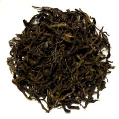 Thailand Chiang Mai Doi Pu Muen Assamica Green Tea