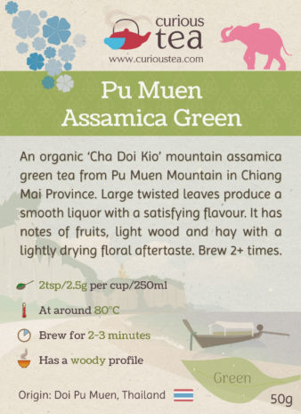 Thailand Chiang Mai Doi Pu Muen Assamica Green Tea