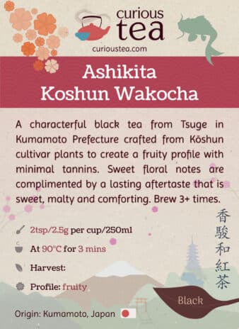Japan Kumamoto Tsuge Ashikita Koshun Wakocha Black Tea Pouch