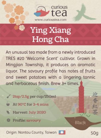 Taiwan Nantou County Mingjian Township Ying Xiang Hong Cha Black Tea
