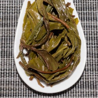 China Yunnan Xin Ban Zhang Sheng 2019 Pu-erh Tea