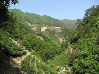 Huang Shan Da Guy Un Village