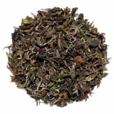 India Darjeeling Rohini Jethikupi First Pick Tea