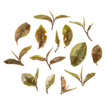 India Darjeeling Rohini Jethikupi First Pick Tea