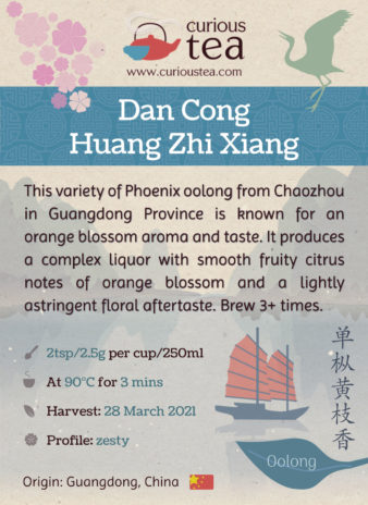 China Guangdong Dan Cong Huang Zhi Xiang Orange Blossom Fragrance Phoenix Oolong