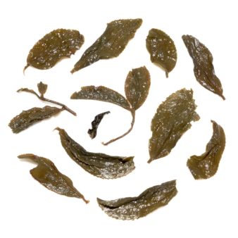 Taiwan Nantou Vintage 1994 Aged Oolong Lao Wulong Cha