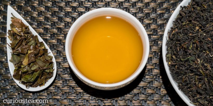 Blog - Darjeeling Gopaldhara Umami Oolong