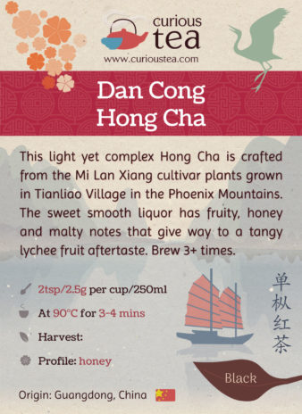 China Guangdong Chaozhou Dan Cong Hong Cha Black Tea