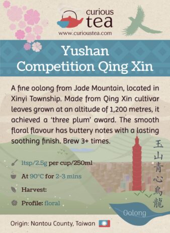Yushan Competition Grade Qing Xin Oolong