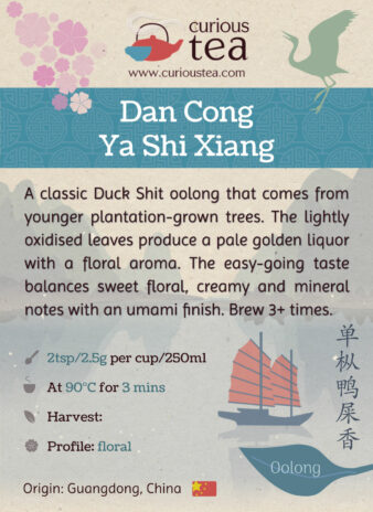 China Guangdong Province Dan Cong Ya Shi Xiang Duck Shit Oolong Tea