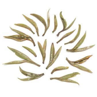 China Yunnan Province Yongde Bai Ya White Bud Pu-erh