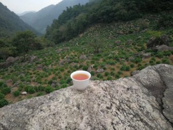 China Anhui Province Qimen Ming Qian Xiang Luo Hong Cha Keemun Aromatic Snail Black Tea