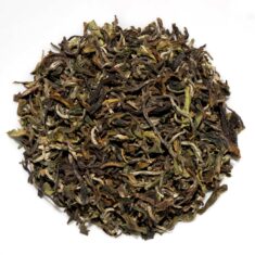 India Darjeeling White Tea Rohini Garden of Spring