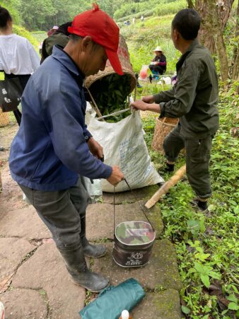 China Fujian Province Wu Yi Shan Rock Oolong