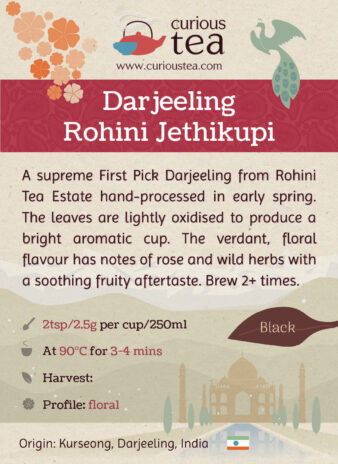 India Darjeeling Rohini Jethikupi First Pick Tea