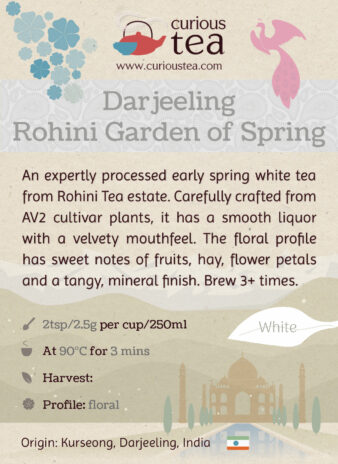 India Darjeeling White Tea Rohini Garden of Spring