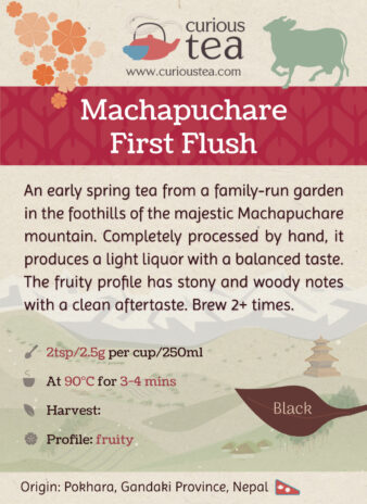 Nepal Machapuchare First Flush Black Tea