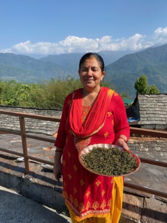 Nepal Machapuchare First Flush Black Tea