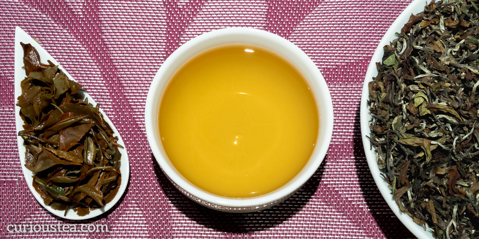 Blog Darjeeling Rohini Silver Tips Oolong