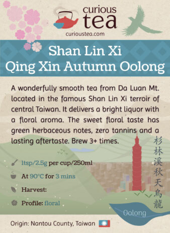 Taiwan Nantou Shan Lin Xi Da Luan Shan Qing Xin Autumn Oolong