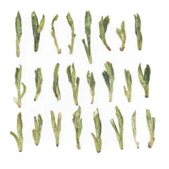 China Xihu Long Jing Shi Feng Dragon Well Green Tea