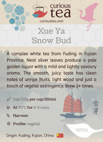 China Fujian Fuding Xue Ya Snow Bud White Tea Pouch