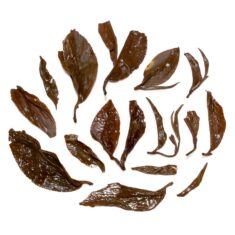 Black tea