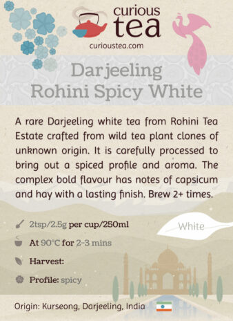 India Darjeeling Rohini Spicy White Tea Pouch