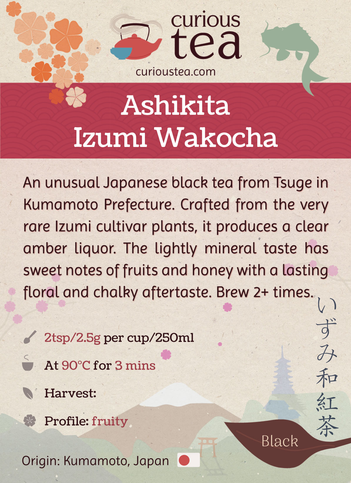 Ashikita Izumi Wakocha | Japanese Black Tea | Curious Tea