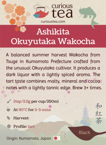 Japan Kumamoto Tsuge Ashikita Okuyutaka Wakocha Black Tea Pouch