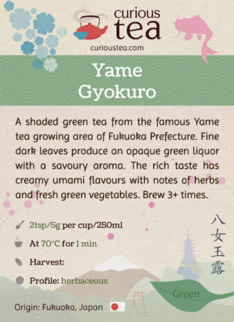 Japan Yame Fukuoka Prefecture Asatsuyu Fukamushi Gyokuro Yamecha Green Tea Pouch