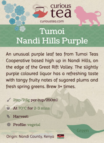 Kenya Tumoi Nandi Hills Purple Green Tea Pouch