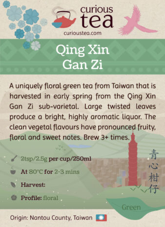 Taiwan Nantou Chin Xin Gan Zi Green Heart Green Tea Pouch